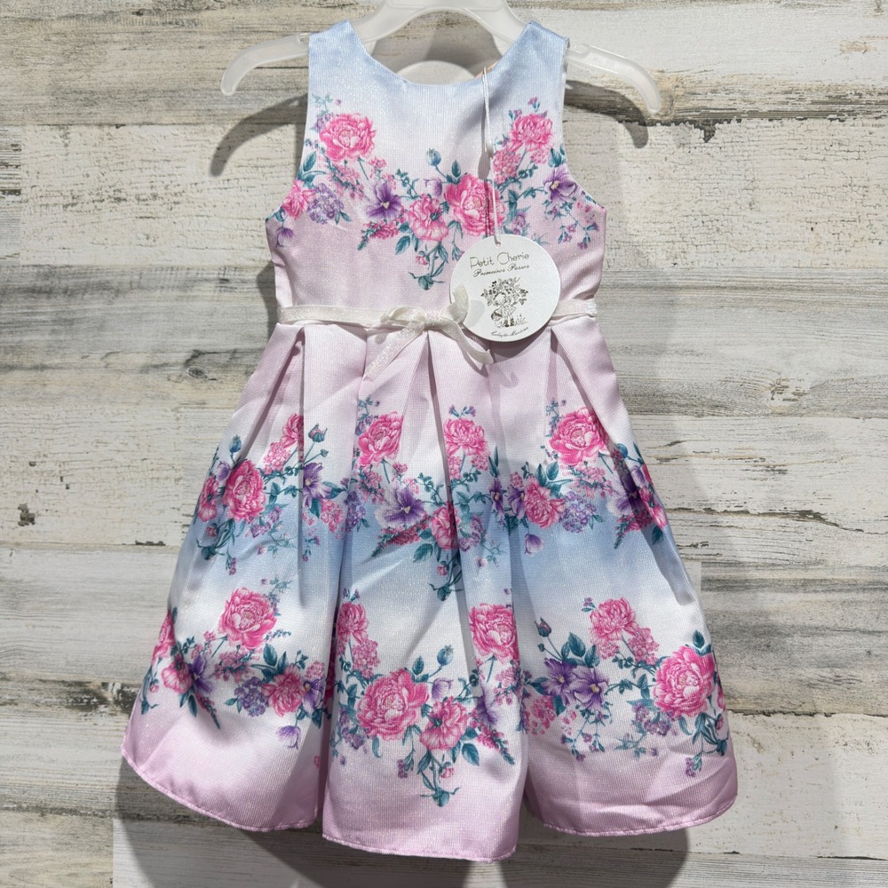 Petit Cherie Floral Dress Girls Size 1 Pink Blue Rose Pleated Coquette NWT